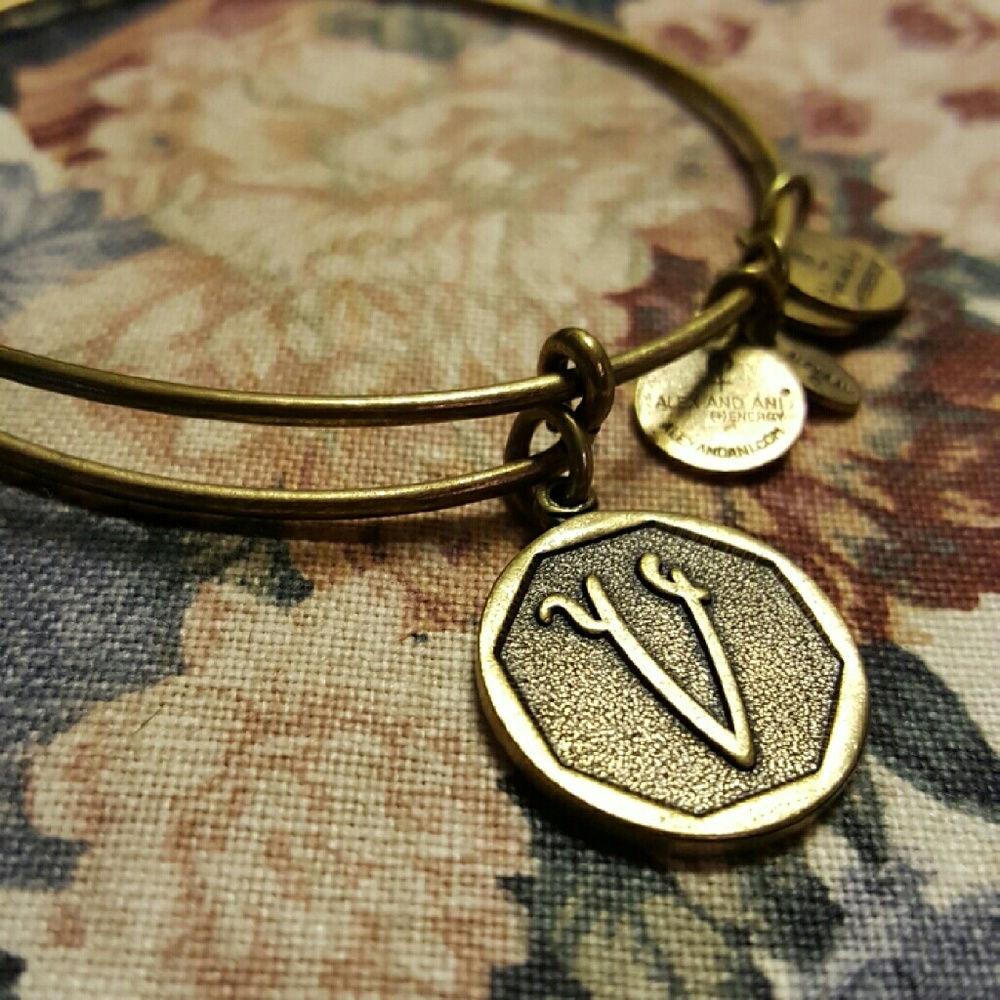 Alex and Ani "V" bracelet in Gold :)